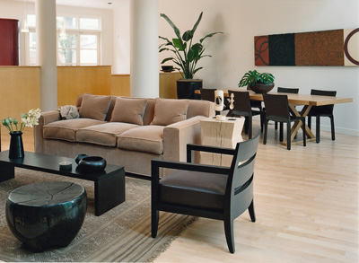 Chicago Interior Designer, Living room design, Living room remodel, custom furniture
